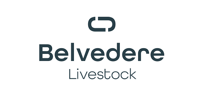Belvedere Livestock