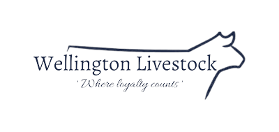Wellington Livestock