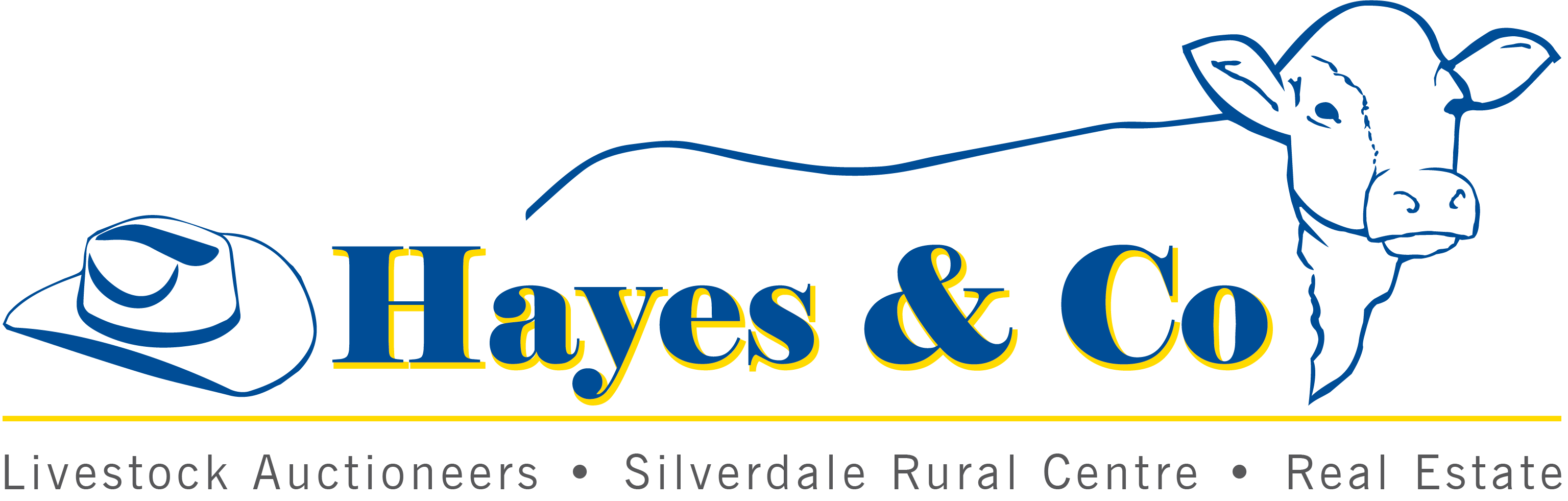 Hayes-Co_Logo