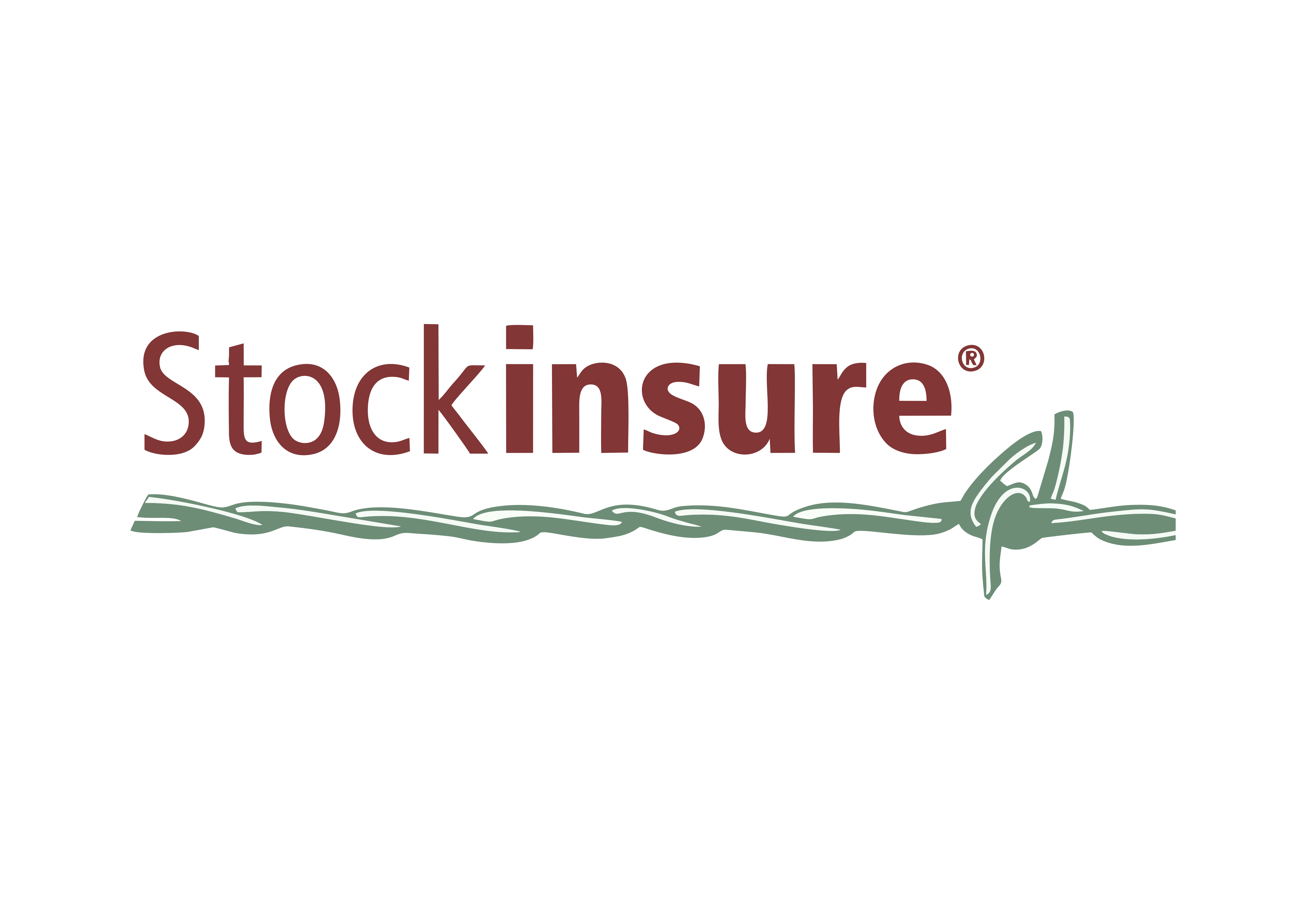 stockinsurelogo2